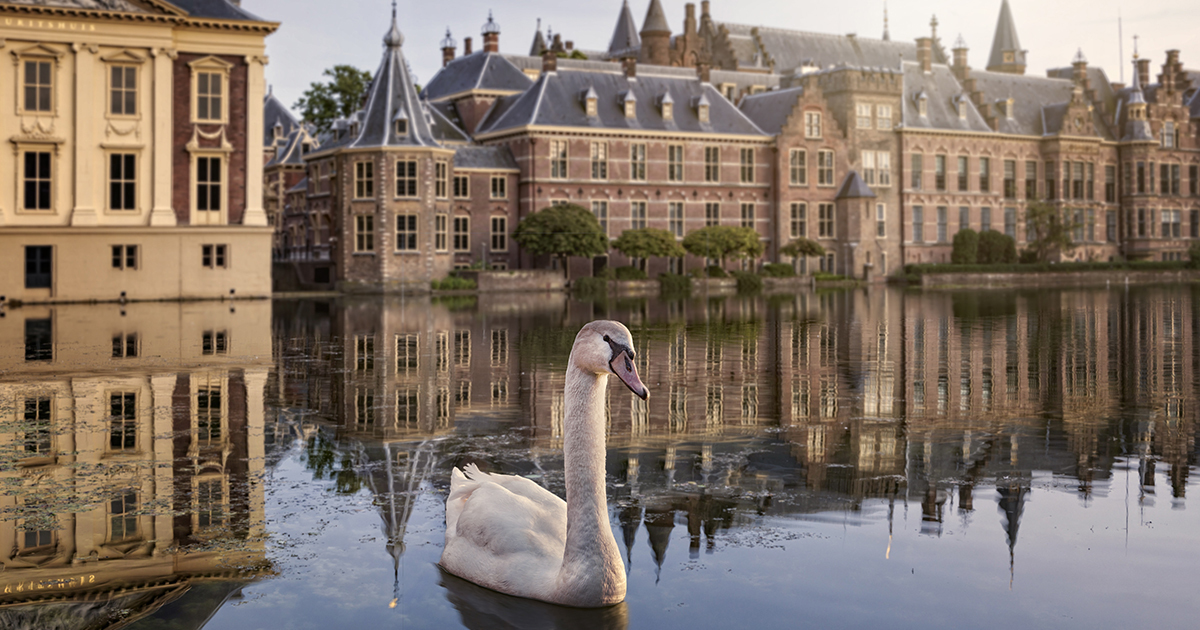The Hague Magazine - Stories of Purpose from The Hague | Stories of